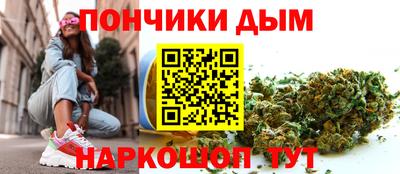 индика Новозыбков