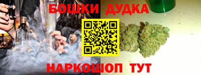индика Новозыбков