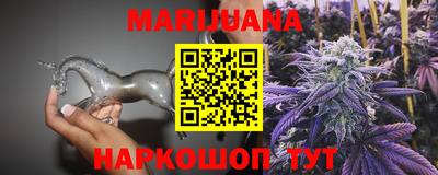 индика Новозыбков