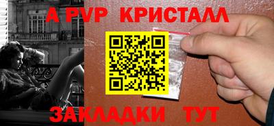 индика Новозыбков