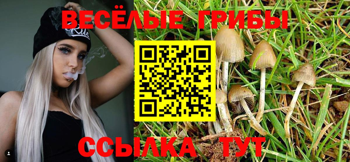 Псилоцибиновые грибы мухоморы  Галлюциногенные грибы Magic Shrooms  наркошоп  Вход с VPN  Сегежа 